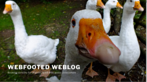 Mr Goose's "Webfooted Weblog"